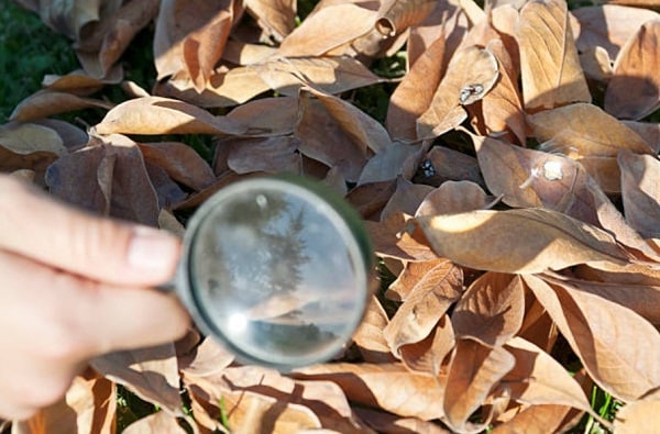 Fire In An Emergency