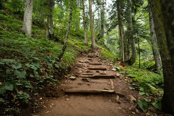 Consider When Going Hiking