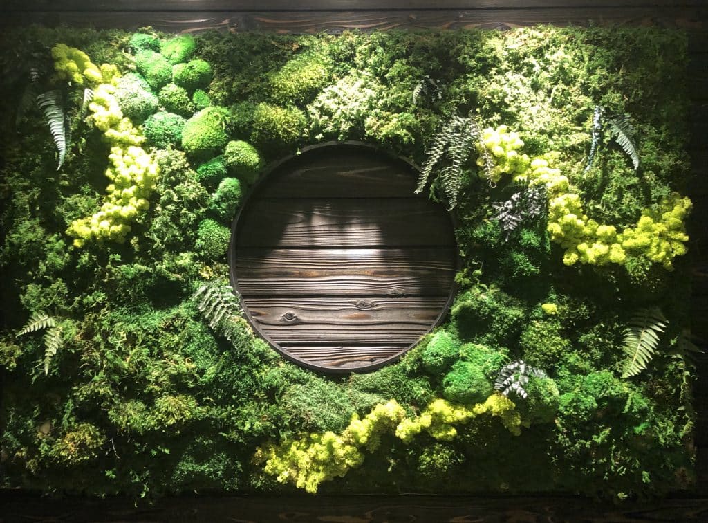 Wall Designs