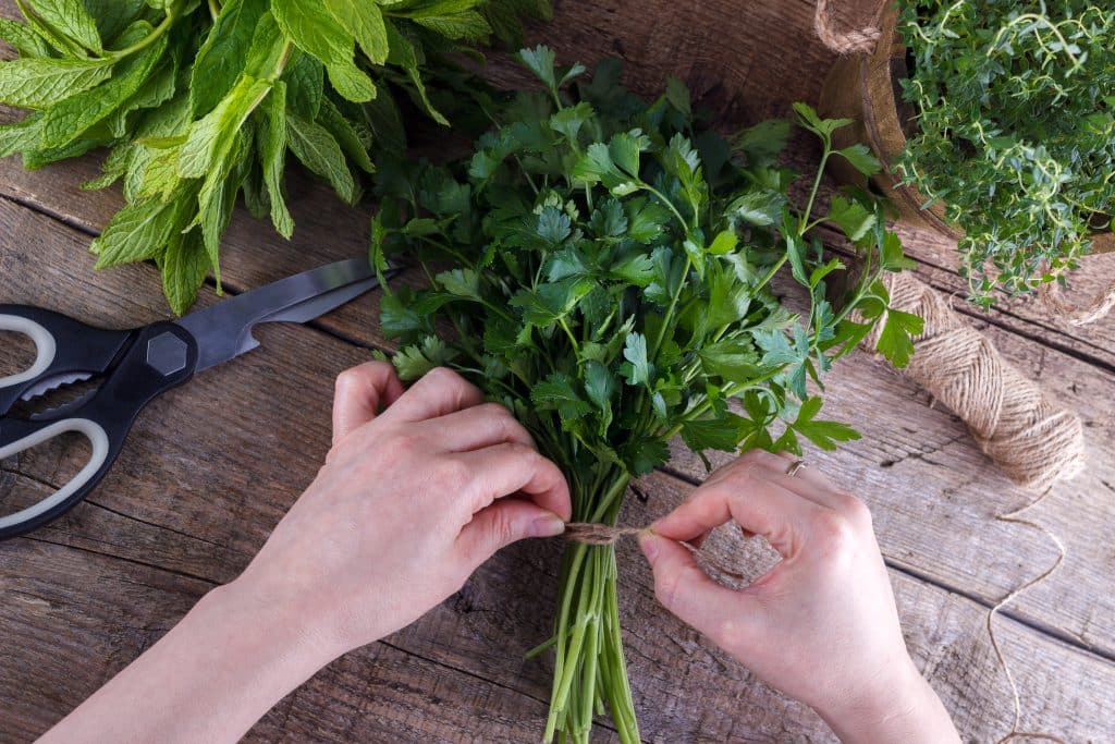 Herb Garden