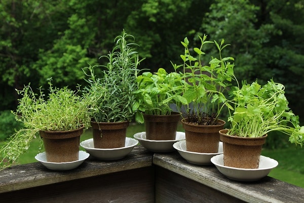 DIY Projects