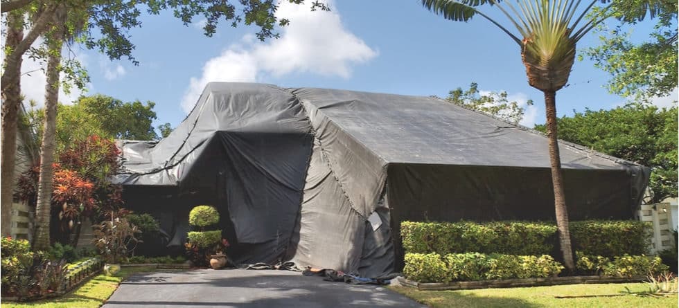 Fumigation: Everything You Need To Know