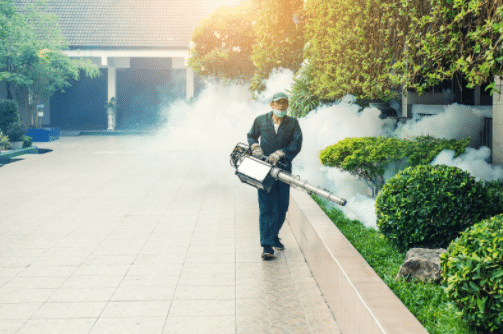 Fumigation: Everything You Need To Know