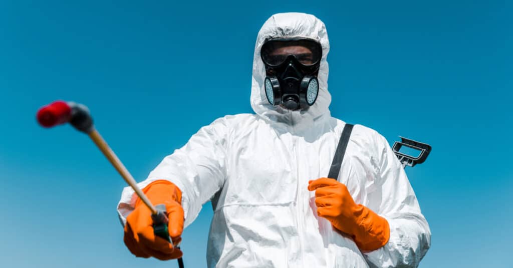 Fumigation: Everything You Need To Know