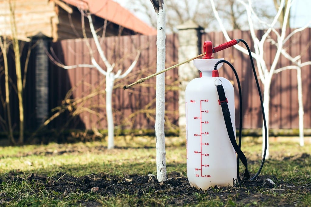 Fumigation: Everything You Need To Know