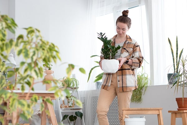 Decor
