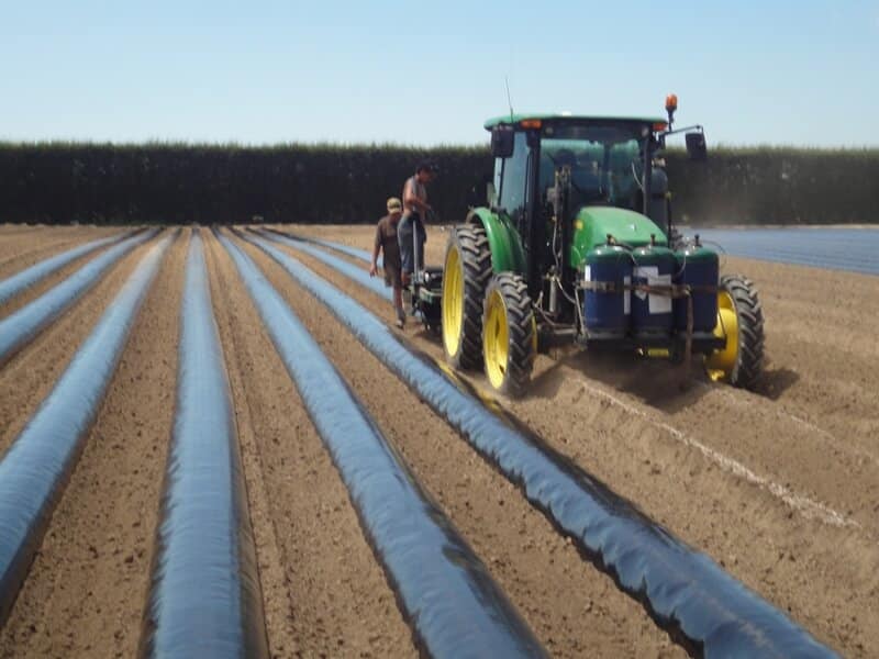 Fumigation: Everything You Need To Know