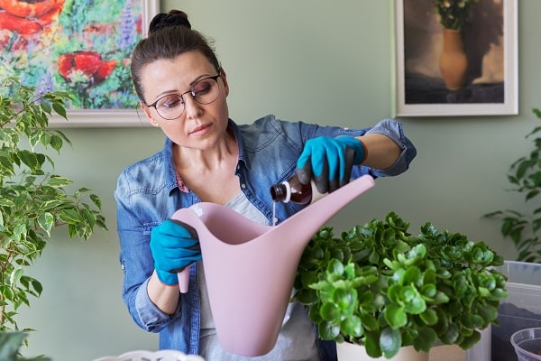 Alternatives To Bleach