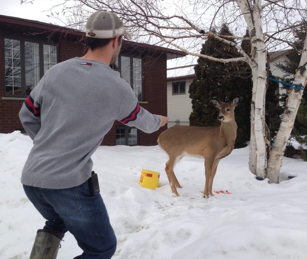 The Alarming Impact Of Tourism On Local Wildlife