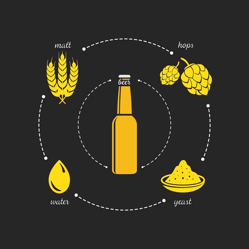 The World Of Craft Beers: A Beginner's Tasting Guide