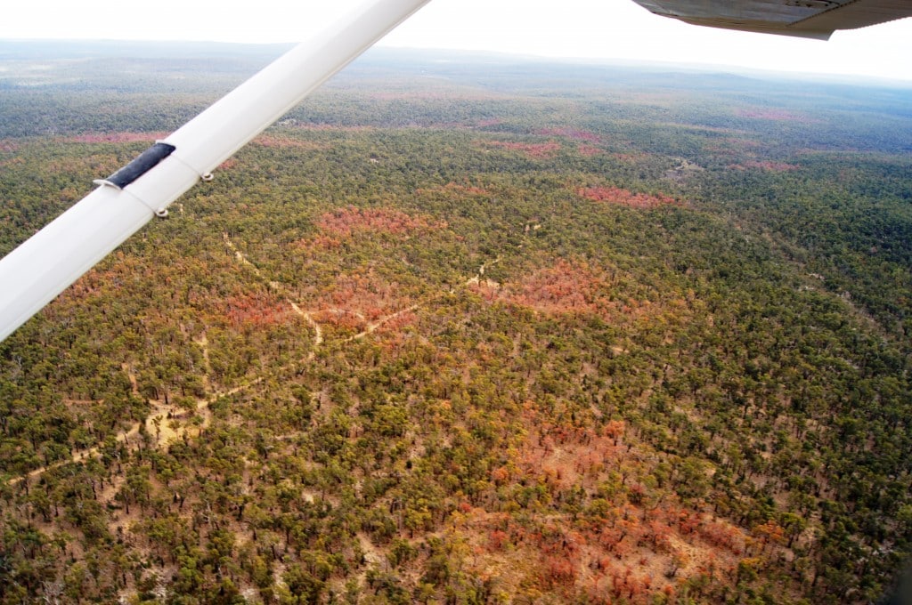 Exploring The Wonders Of The Rainforest