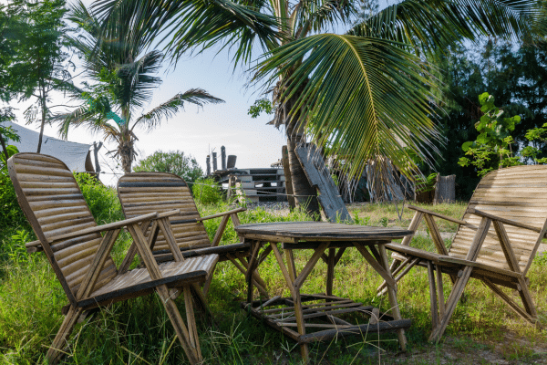 Creative Ways To Use Bamboo