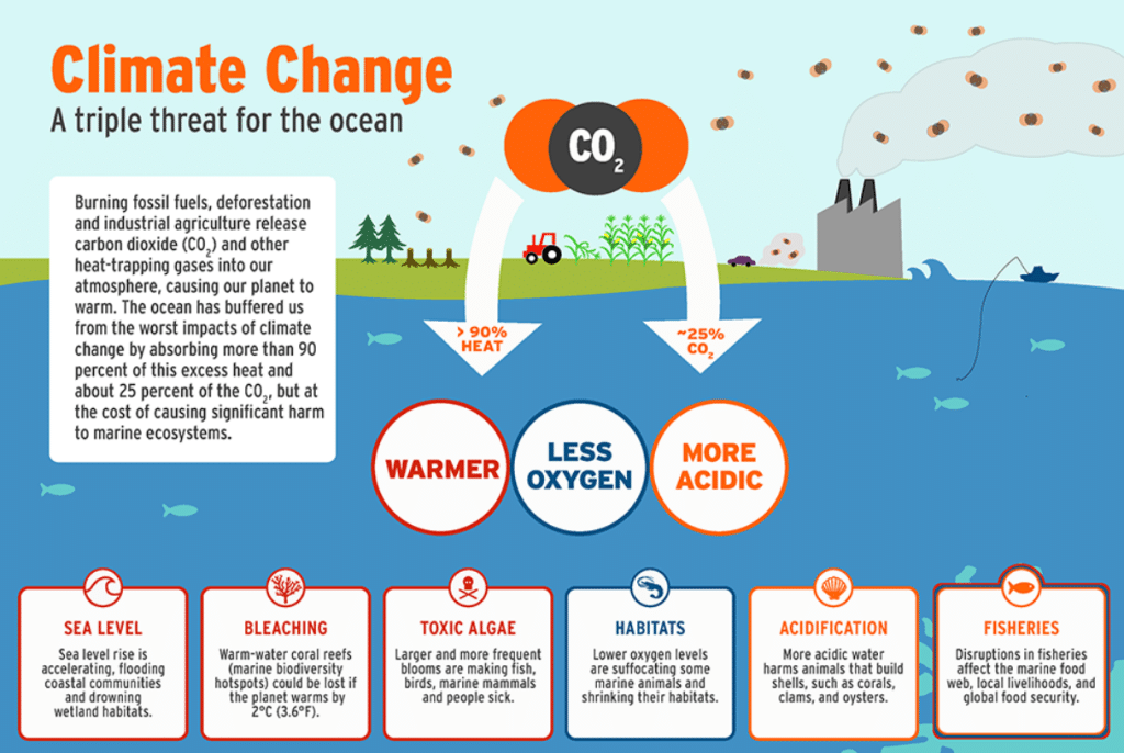 The Mysteries of the Deep Sea: Exploring Earth's Final Frontier