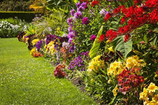 Unique Ways To Spruce Up Your Yard