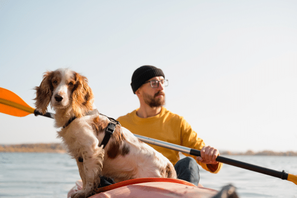 Outdoor Activities To Do With Your Dog