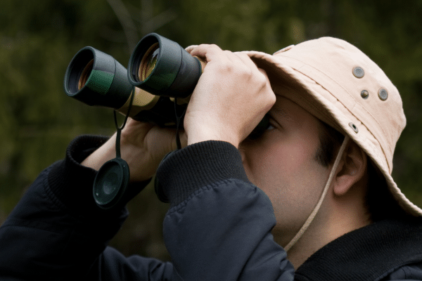 Ways To Have Fun In Nature