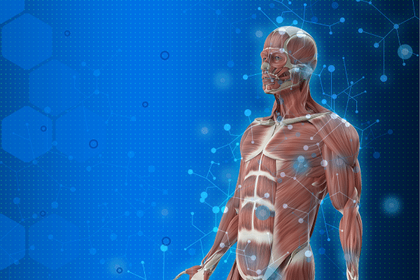 Health Benefits Of Jogging