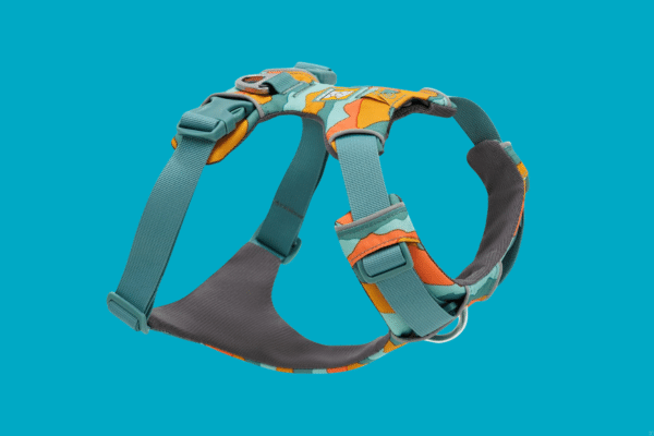 Products Every Dog Owner Should Have