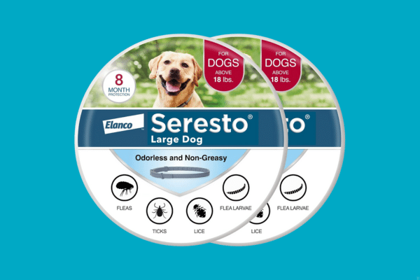 Products Every Dog Owner Should Have