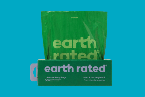 Products Every Dog Owner Should Have