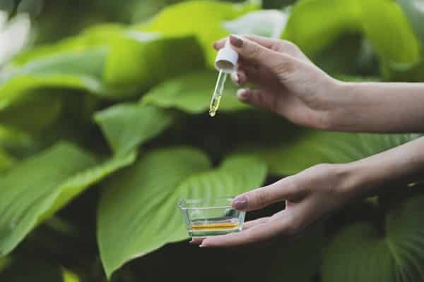 Olive Oil Outside the Kitchen