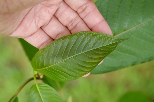 Ways to Use Rubber Bands