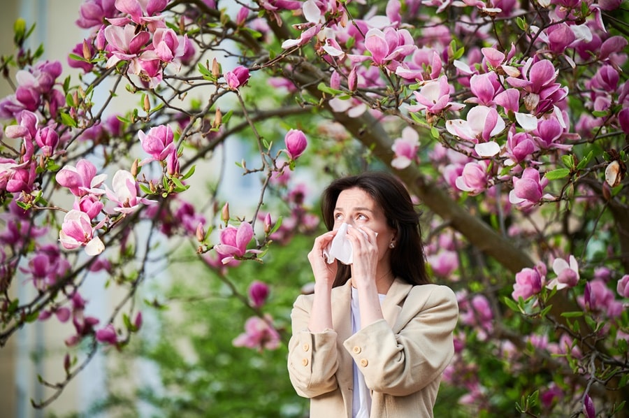 Natural Remedies For Seasonal Allergies