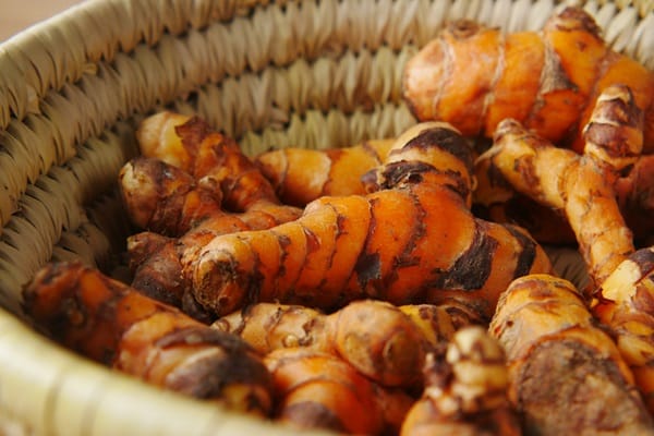 Herbs to Boost Your Immune System