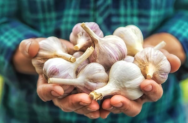 Naturally Lower Blood Pressure