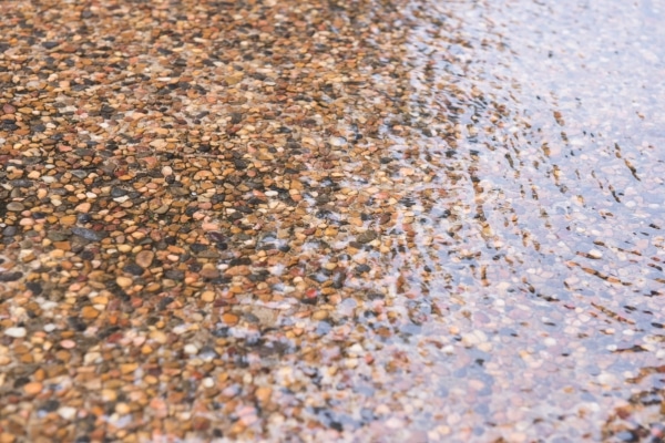 Never Ignore These Signs in Your Driveway!