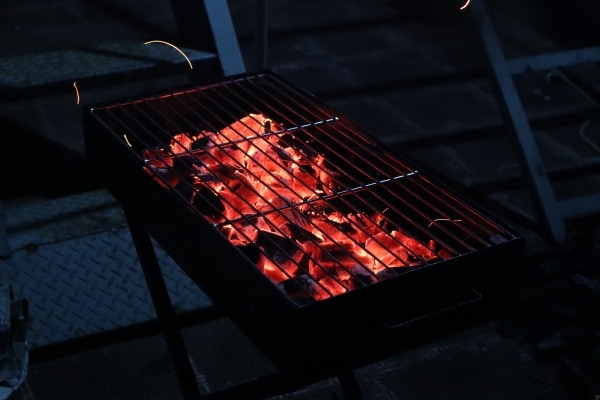 Dangers Lurking in Your Backyard