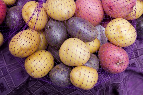 Foods That Should Never Be Stored in the Fridge