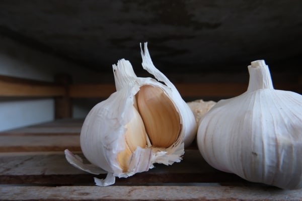 Foods That Should Never Be Stored in the Fridge